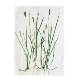 Södahl Organic Viskestykke