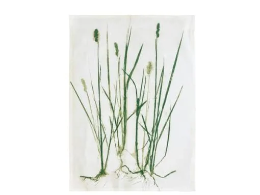 Södahl Organic Viskestykke -køkkenudstyr 3990 1c450934 b4fe 49cf b036 49630aa0ba88